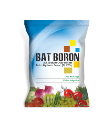 Bat Boron