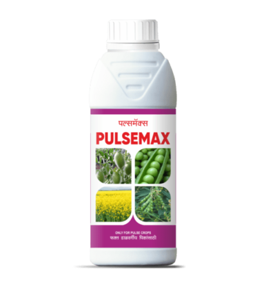 Pulsmax